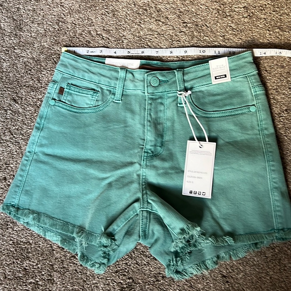 Sea Green Mid Rise Frayed Shorts - Small